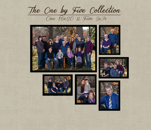1x5 - One by Five Collection